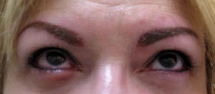 Eyebrow and eyeliner work, photo 19